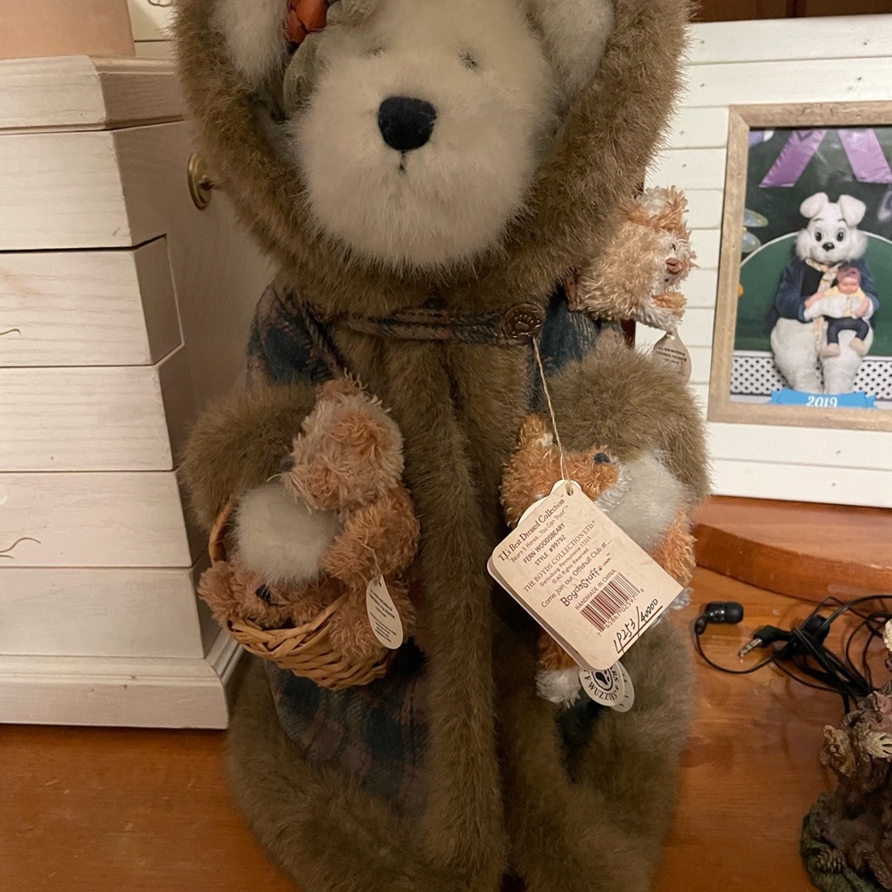 Boyds Bears Fern Woodsbeary Plush Stuffed Bear TJS Best Dressed Limited Ed 99792